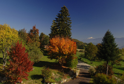 jardin à l'automne et vue sur Mont Blanc