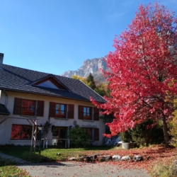 ambiance automne